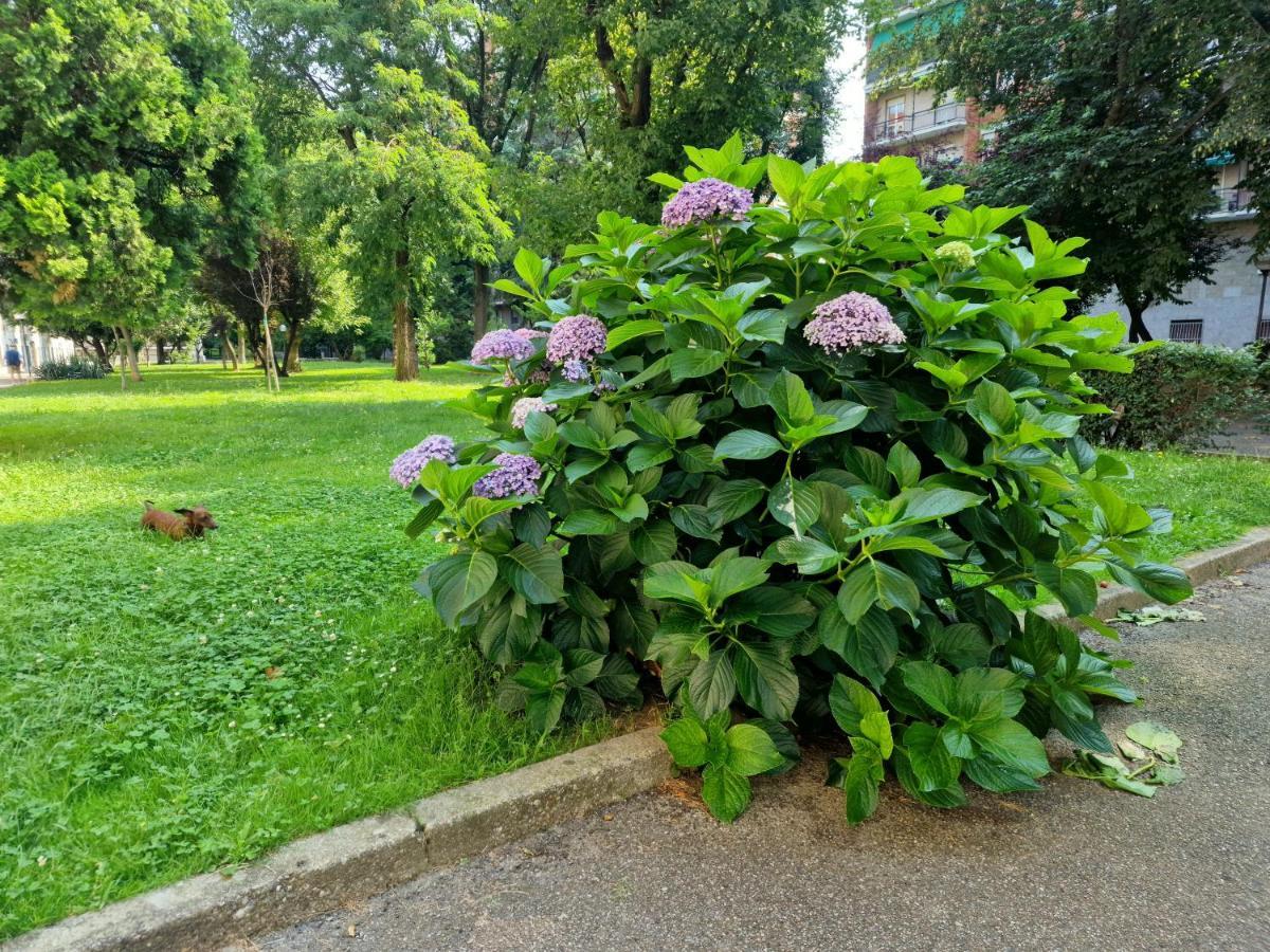 Giardino Sul Naviglio Lejlighed Milano Eksteriør billede